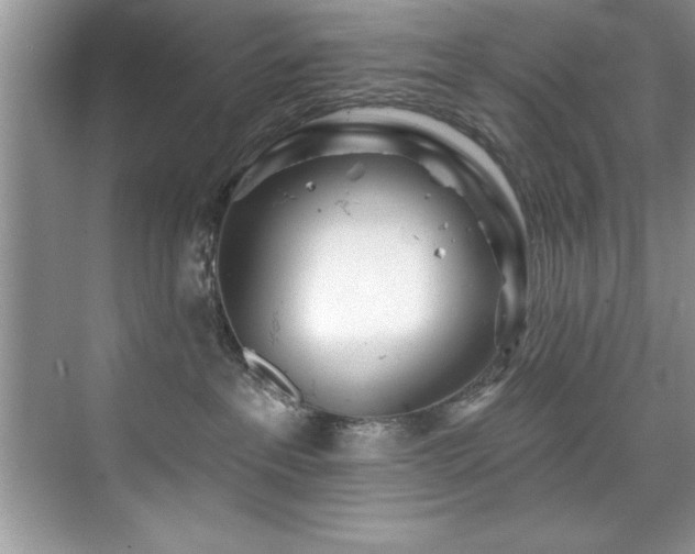 X0000076260237200609281215