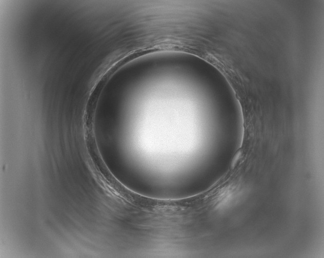 X0000076260242200609281214