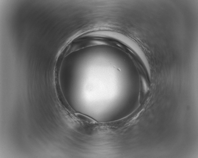 X0000076260244200609281214