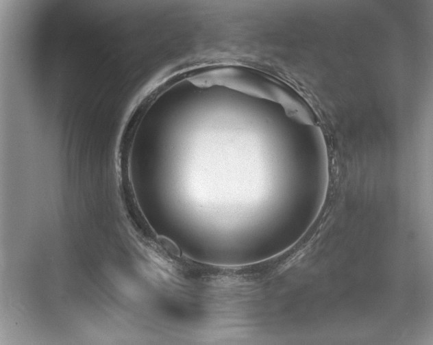 X0000076260246200609281214