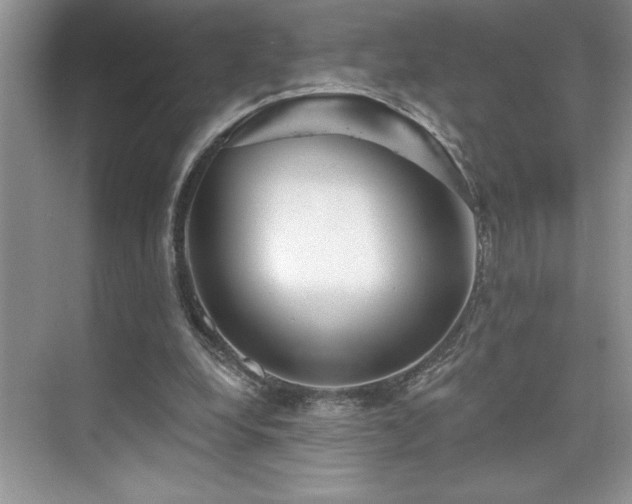 X0000076260248200609281214