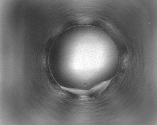 X0000076260268200609281215