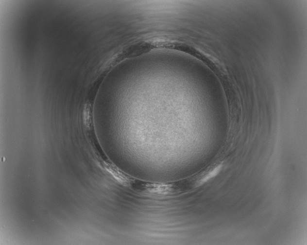 X0000076260288200609281215