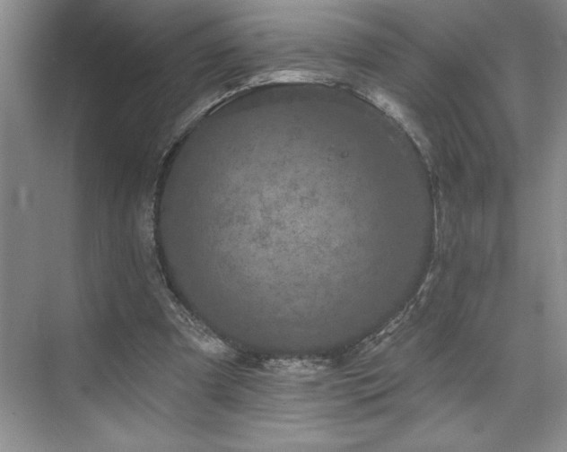 X0000076260297200609281214