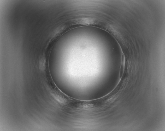X0000076260304200609281214