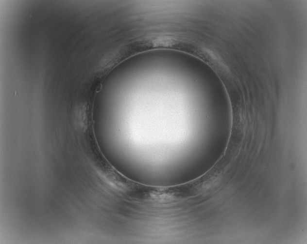 X0000076260311200609281214