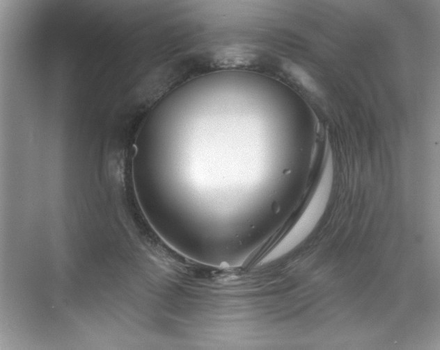 X0000076260315200609281214
