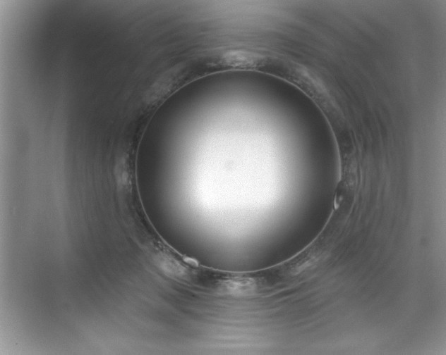 X0000076260317200609281214