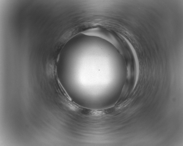 X0000076260333200609281213