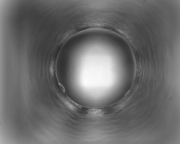 X0000076260334200609281213
