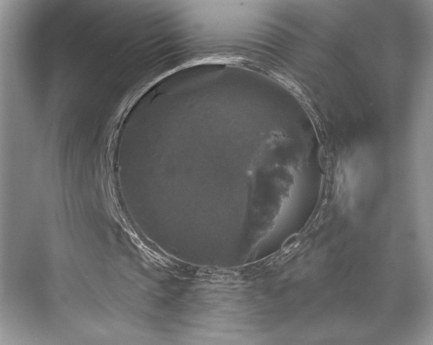 X0000076260337200609281212
