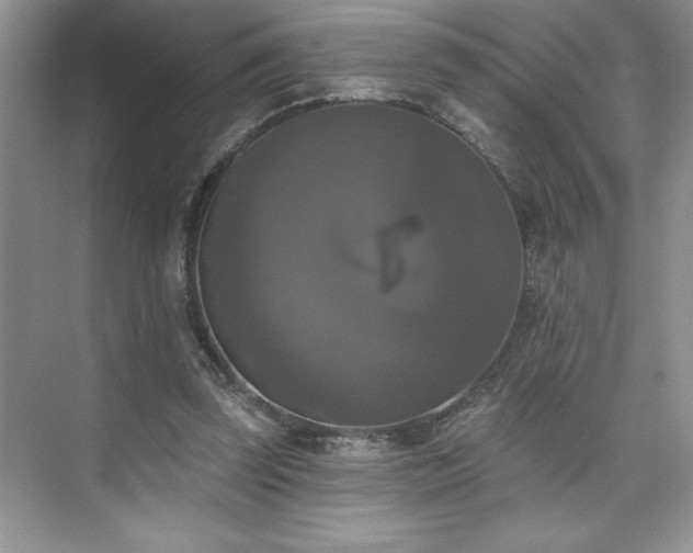 X0000076260347200609281213