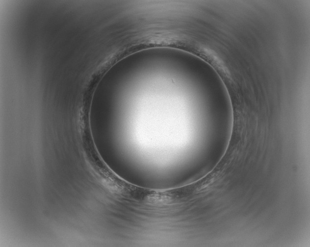 X0000076260354200609281213