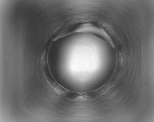 X0000076260364200609281213