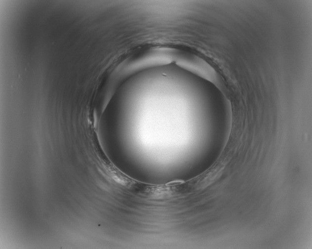 X0000076260384200609281213