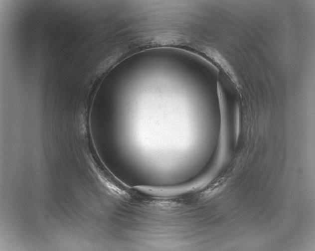 X0000076260393200609281212
