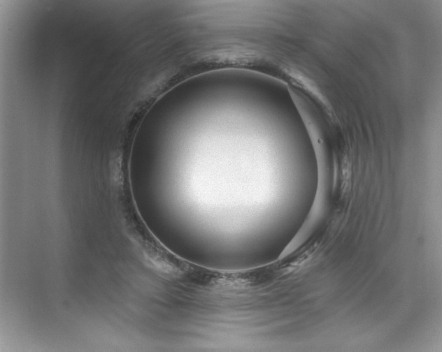 X0000076260403200609281212