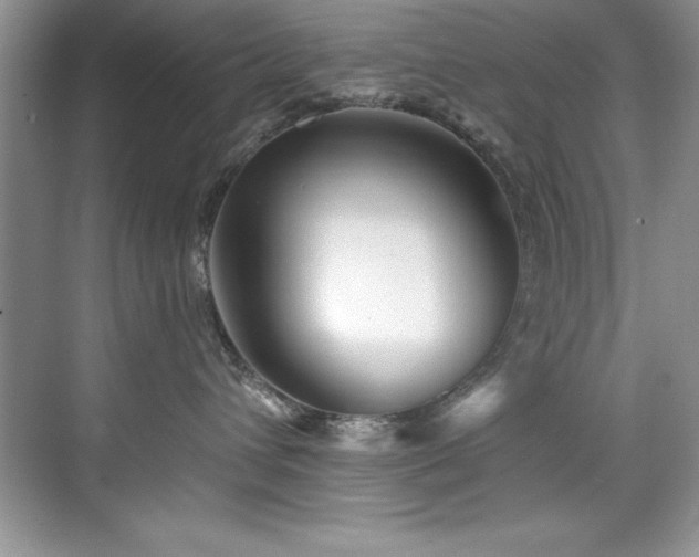 X0000076260432200609281212