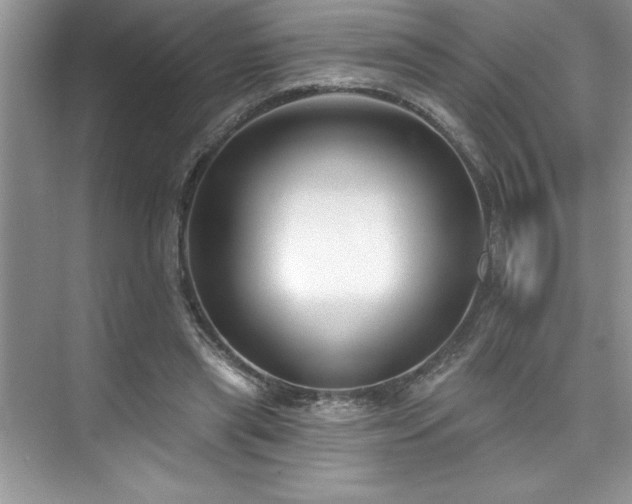 X0000076260445200609281211