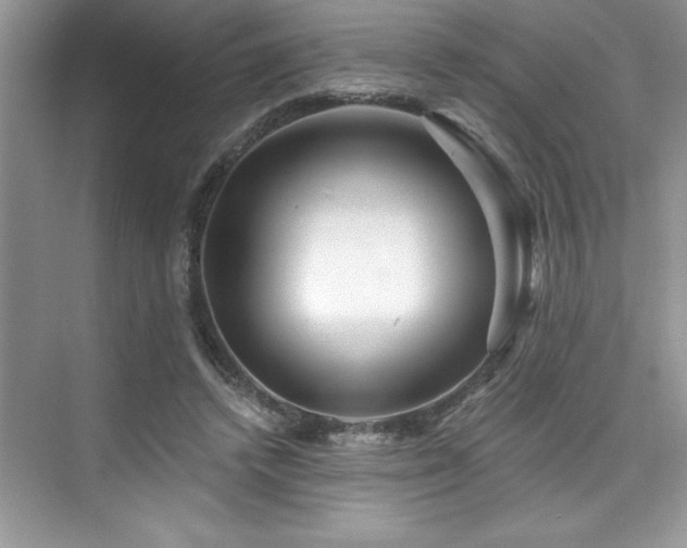 X0000076260448200609281211