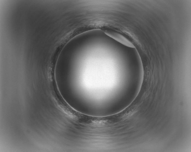 X0000076260450200609281211