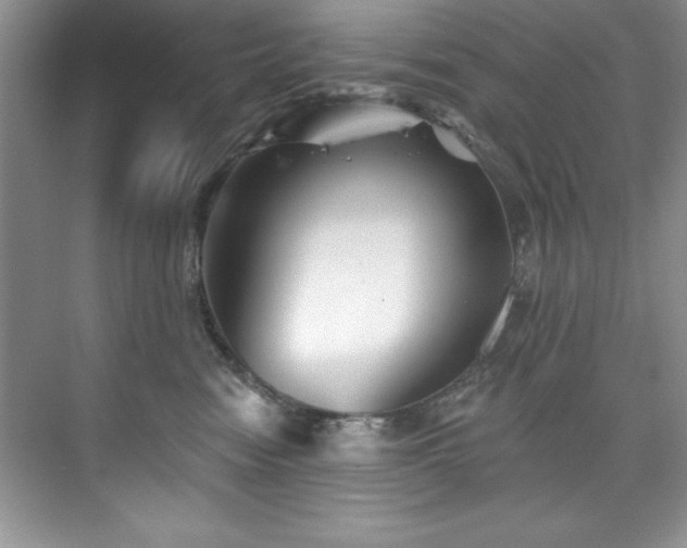 X0000076260474200609281211