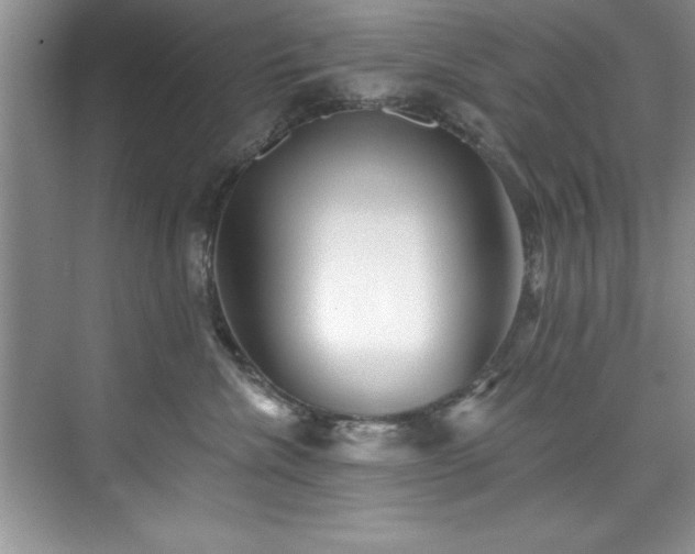 X0000076260476200609281212