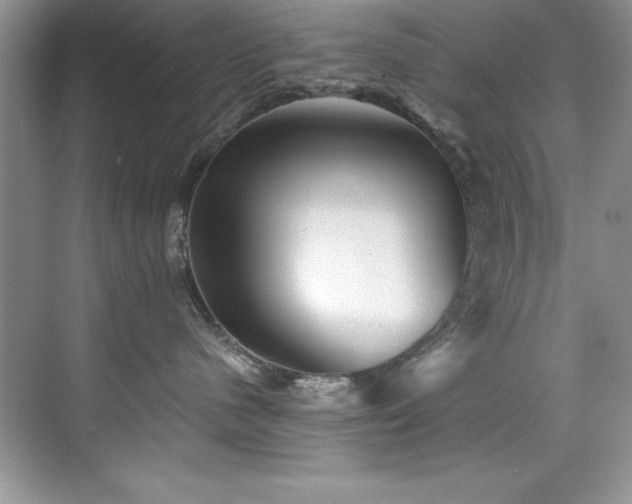 X0000076260480200609281212