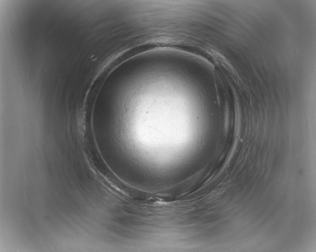 X0000076260484200609281211