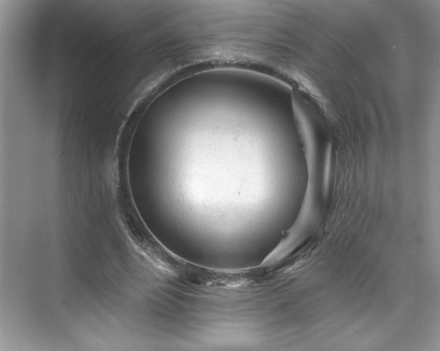 X0000076260488200609281211