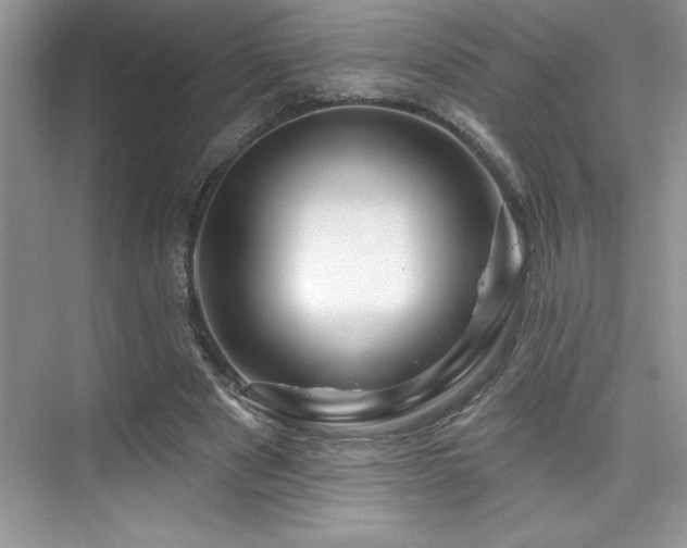 X0000076260489200609281211