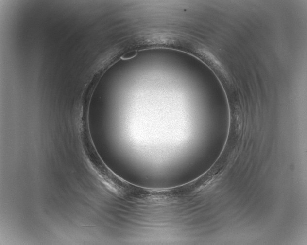 X0000076260490200609281211