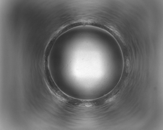 X0000076260492200609281211