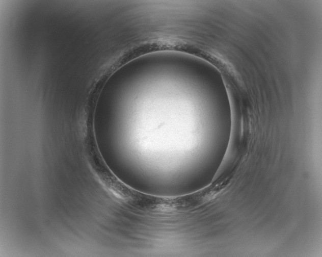 X0000076260496200609281211