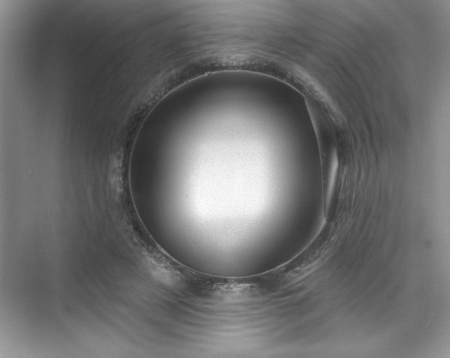X0000076260497200609281211
