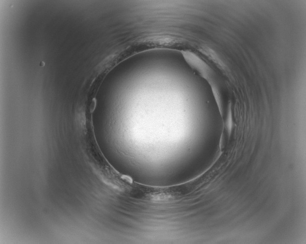 X0000076260500200609281210