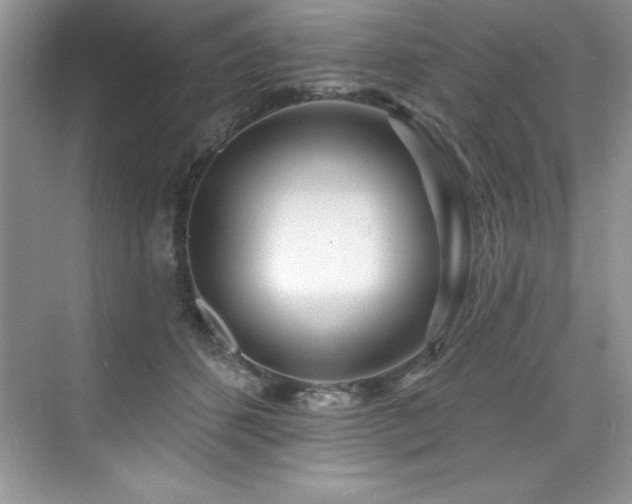 X0000076260512200609281210
