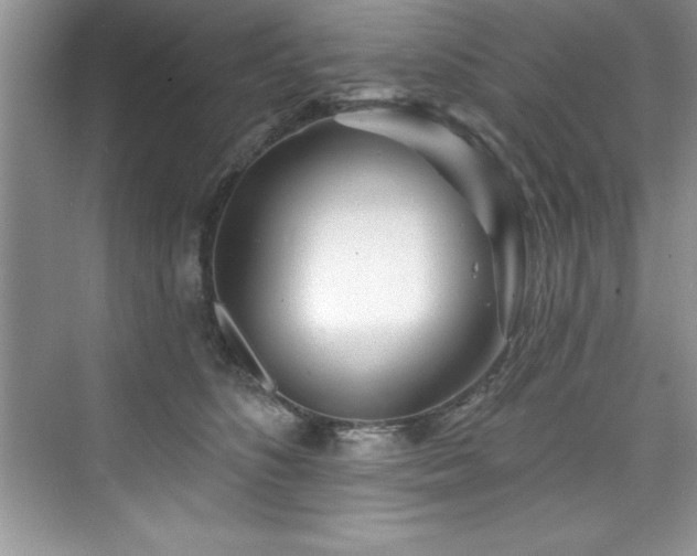 X0000076260516200609281210
