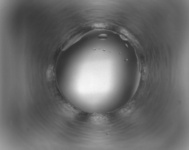 X0000076260521200609281210