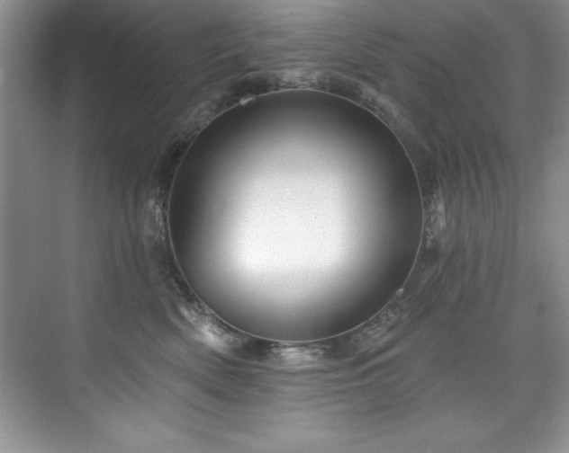 X0000076260522200609281210