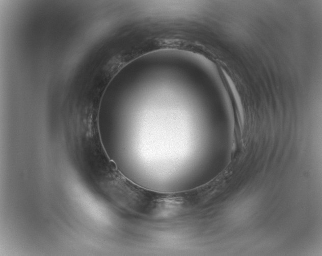 X0000076260525200609281210