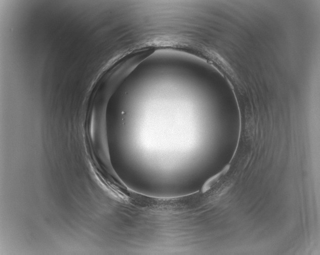 X0000076260530200609281209