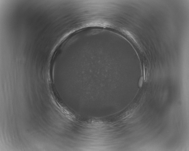 X0000076260531200609281209