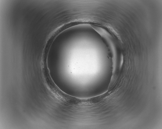 X0000076260536200609281209