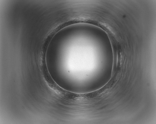 X0000076260544200609281209