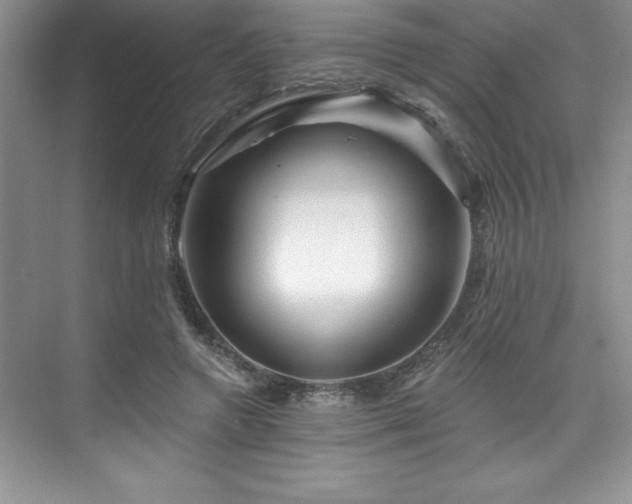 X0000076260546200609281209
