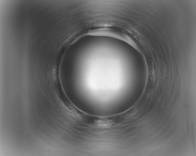 X0000076260556200609281210