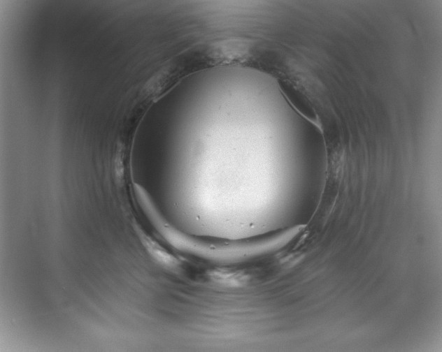 X0000076260570200609281210