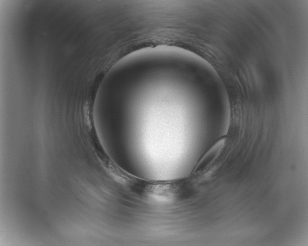 X0000076260575200609281210