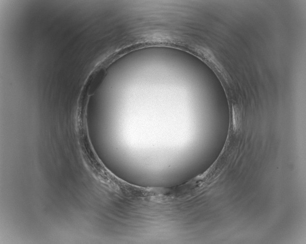 X0000076260579200609281209